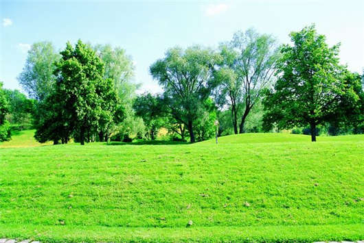 德國移民入籍指南，條件及相關文件介紹！